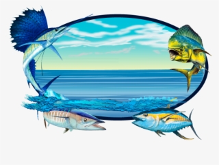 Sailfish Clipart Wahoo #7504828