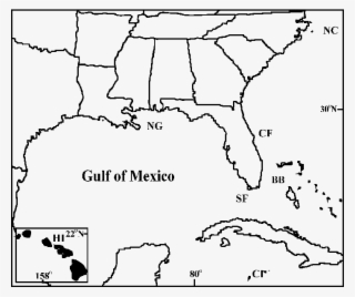 Sampling Locations For Wahoo From North #7505006