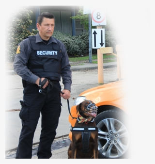 Hire Guards For Security Melbourne Metropolitan Guards #7505251