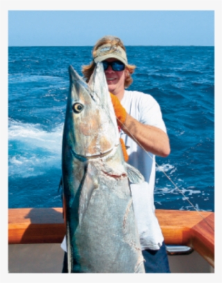 With Ongoing Research Anglers Are Hoping To Gain Insight #7505335