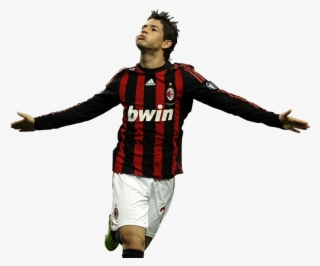 Pato Photo Pato #7507523