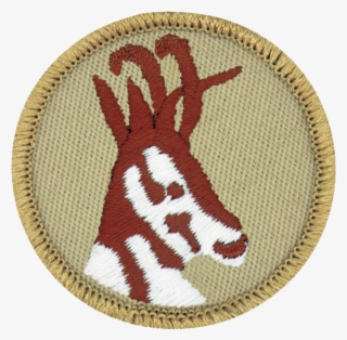 Antelope #7508261