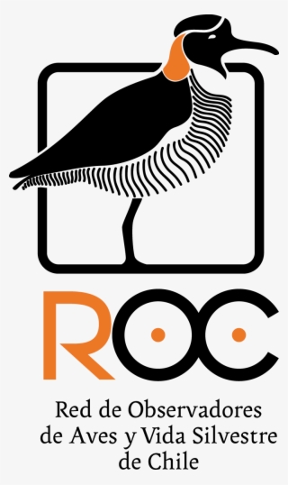 Logo Roc #7508692