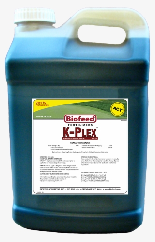 K-plex Jug #7513948