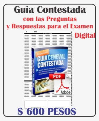 Ventaguia3 #7514153