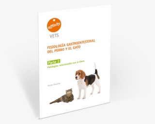 Guía Gastrointestinal Parte #7515050