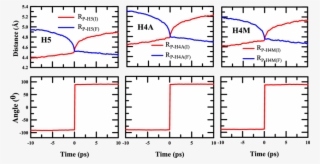 Average Trajectories Calculated For The Large Amplitude #7515637