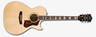 Guild Grand Orchestra Traditional F 47mc W D Tar® #7522263