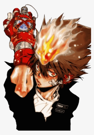 The Reborn Story Revolves Around A Boy Named Tsunayoshi #7522266