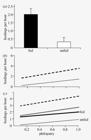 Results Of Glms On The Effect Of Food Supplementation #7523955