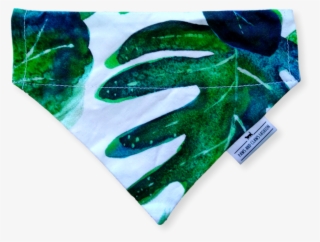 Paws And Claws Bandana Tropical #7524816