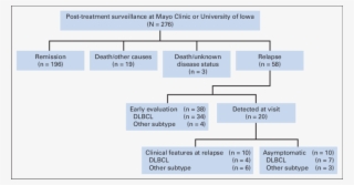 Flowchart In Patients Followed At Mayo Clinic Or University #7525848