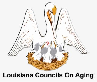 Louisiana Councils On Aging #7530366
