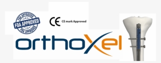 Great Start To For Orthoxel Exciting Year Ahead As #7531693