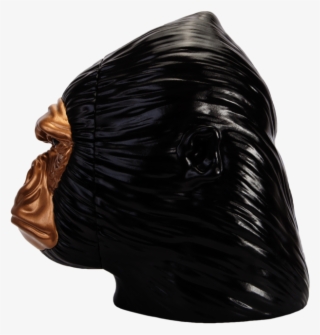 Darwin Face Darwin Side Profile #7532257