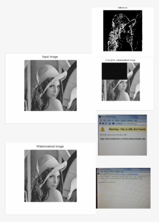 The Watermark Is Present If And Only If One Of The #7533226