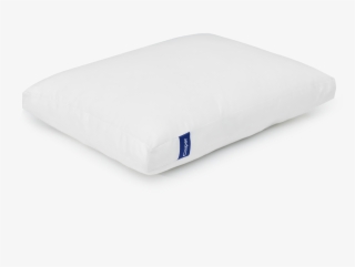 With Bank Of America's Generous Match, This Product #7538249 With Bank Of America's Generous Match, This Product #7538249