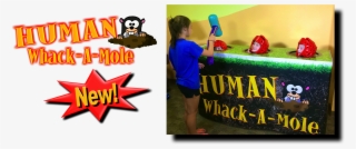 Click Here For More Information On The Human Whack #7541128