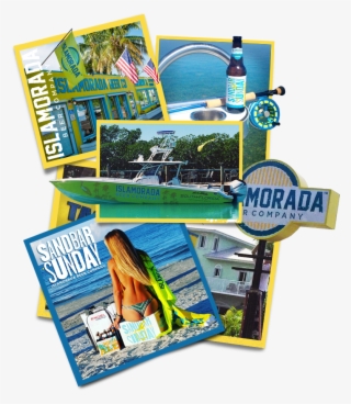 South Islamorada #7541438