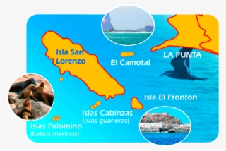 Tour En Yate A Islas Palomino #7541679 Tour En Yate A Islas Palomino #7541679