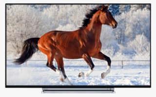 Best 43 Inch Uhd Tv 2018 Top 43 Inch 4k Tv #7542482