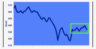 Cattle Market Continues To Keep Beef Producers Confused #7544691