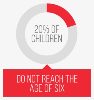 20% Of Children Do Not Reach The Age Of Six #7545537
