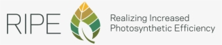 Logo Realizing Increased Photosynthetic Efficiency #7547535