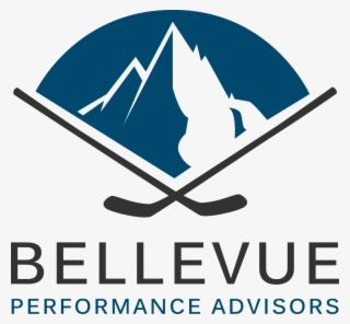Bellevue Performance Advisors #7547587