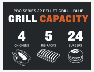 Traeger Pro Series 22 Wood Pellet Grill #7550786