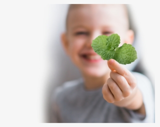 Menthol For Fast, Cooling Itch Relief And Ceramides #7552316