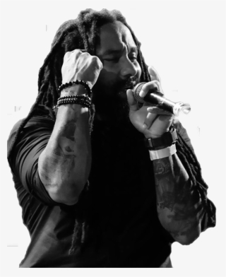 30 Sep Marley-png #7552526