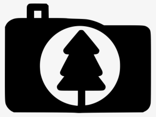 Forest Trees Photography Comments #7553138