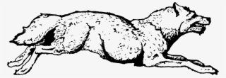 Wolf #7554541