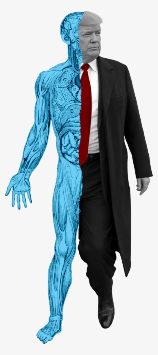 The President Had His Appendix Removed At The Age Of #7555003