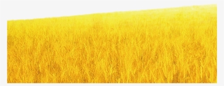 Wheat Stalk Png #7556947