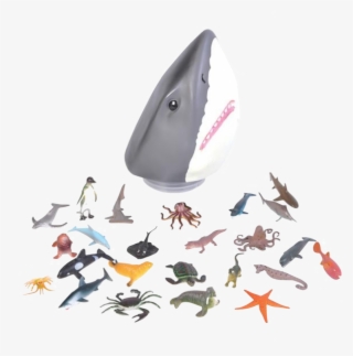 Home » Shark Head Case #7557491