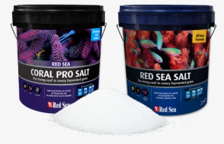Red Sea Salt, Bucket #7560858