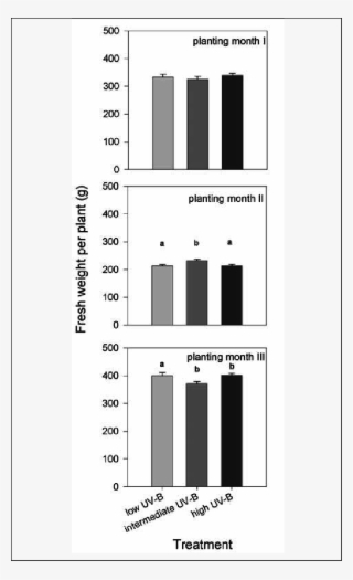 Fresh Weight Of Plants Of Different Uv-b Treatment #7560903
