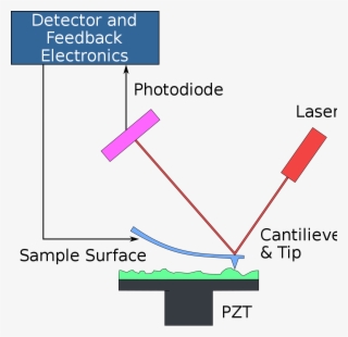 Microscope Png #7561645