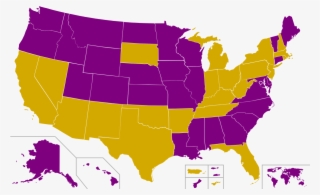 Hillary Clinton Full Body Png #7562601