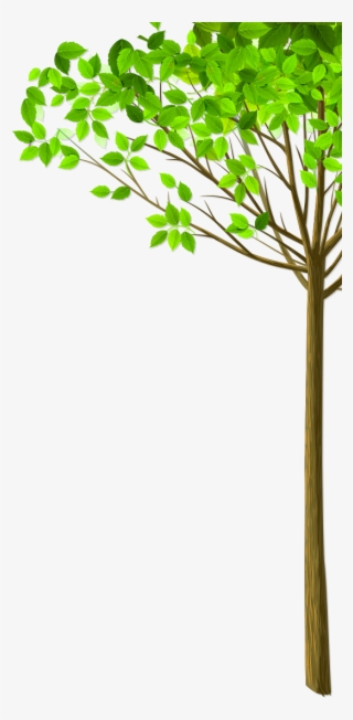 Img_tree.png #7563056 Img_tree.png #7563056