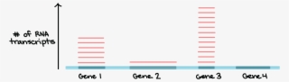 Genes Png #7563630