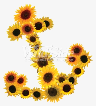 Daisy Anchor #7566052