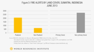 3) Most Of The Fire Alerts Took Place On Peat Soils #7566902