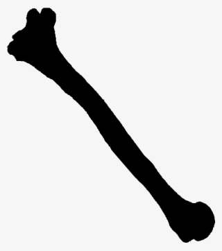 A Bone - #7567536 A Bone - #7567536