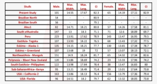 Brachycephalic Skull With Lateralization Of The Temporal #7567691