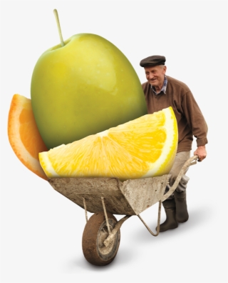 Love Discovering Fabulous New Flavors #7569028