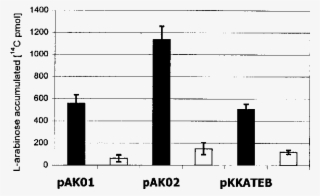 L [ 14 C]arabinose Accumulation By E #7571250