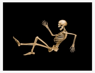 Skeleton Png Images #7571561